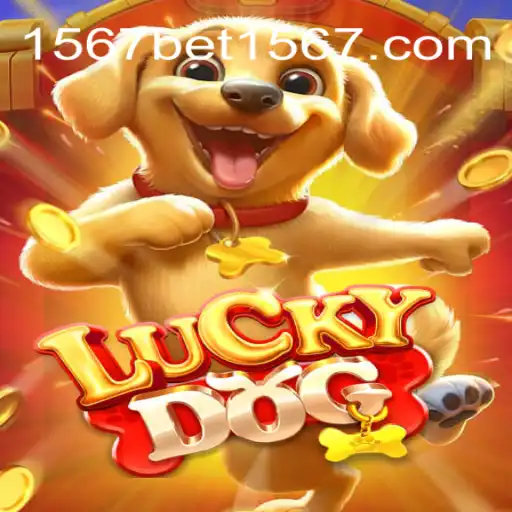 Exploring LuckyDog: The Engaging Online Casino Game