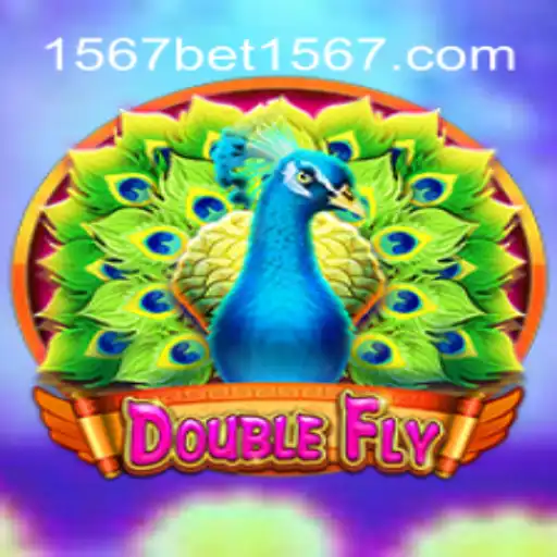 Discover the Thrilling World of DoubleFly: Your Comprehensive Guide
