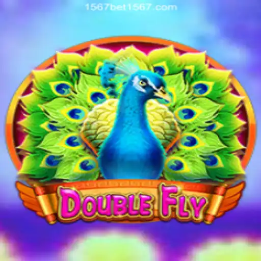 Discover the Thrilling World of DoubleFly: Your Comprehensive Guide