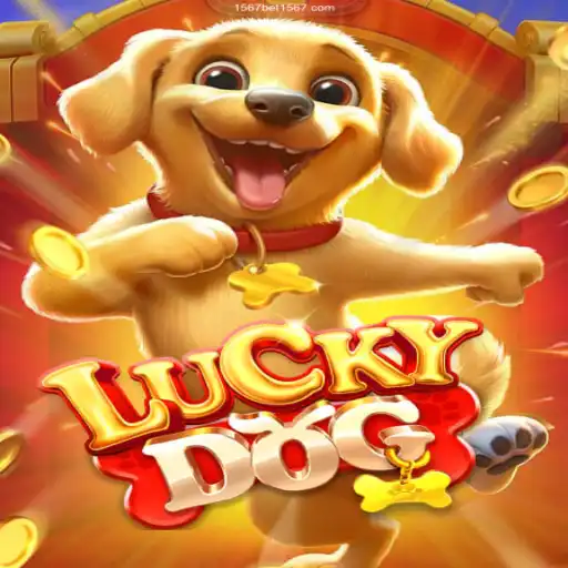 Exploring LuckyDog: The Engaging Online Casino Game
